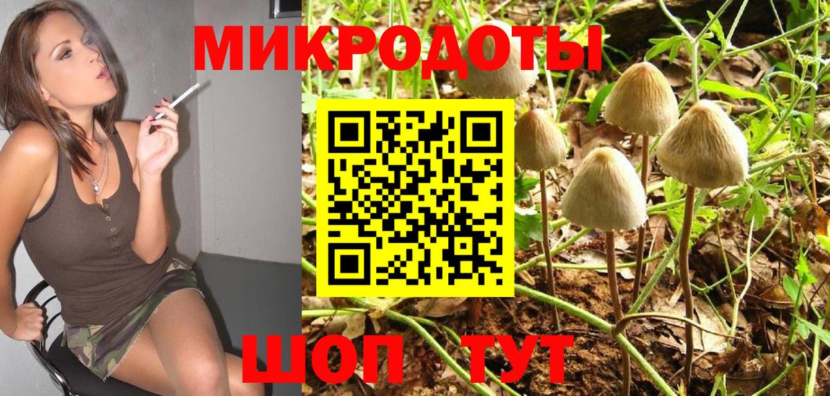 Псилоцибиновые грибы Psilocybine cubensis Сибай
