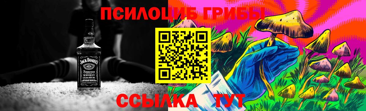 Сибай  Псилоцибиновые грибы Cubensis  Вход с VPN  Галлюциногенные грибы ЛСД 